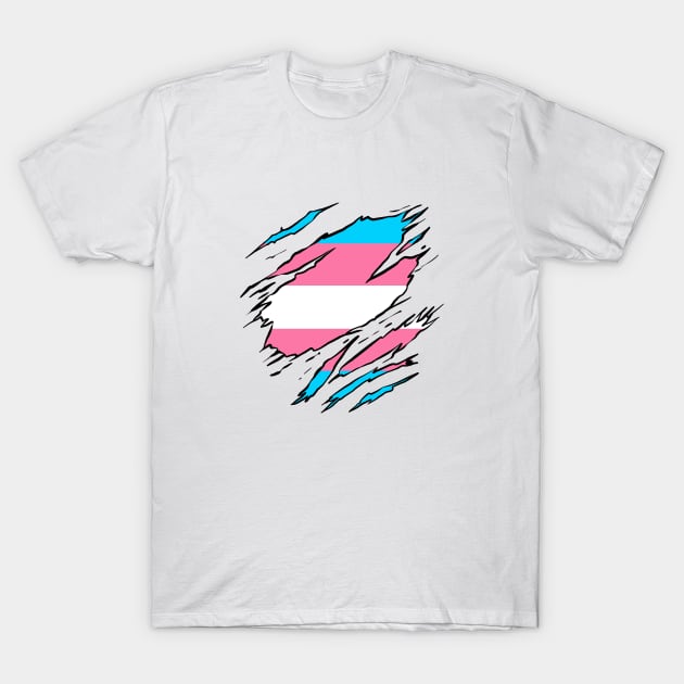 LGBTQI+ Superhero Transexual flag T-Shirt by la'lunadraw